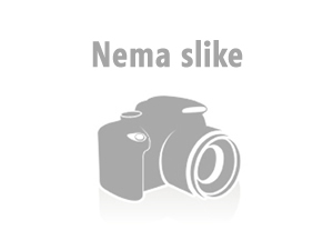 nemaslike